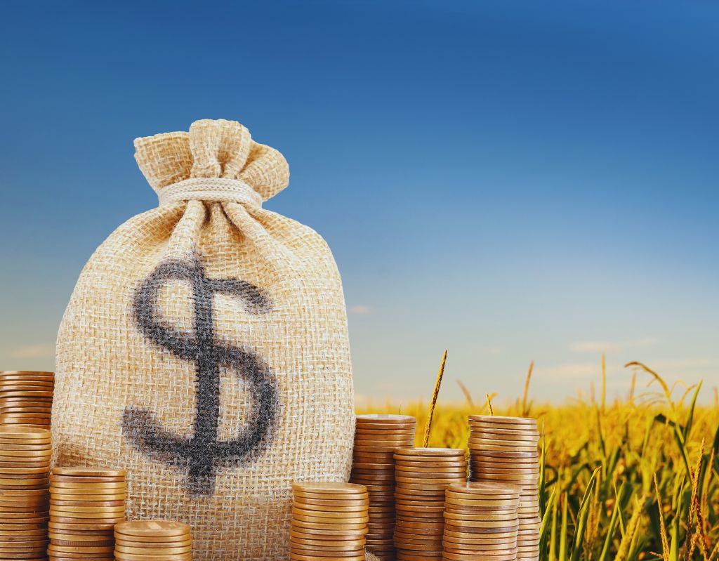 SMEs and Growing Businesses